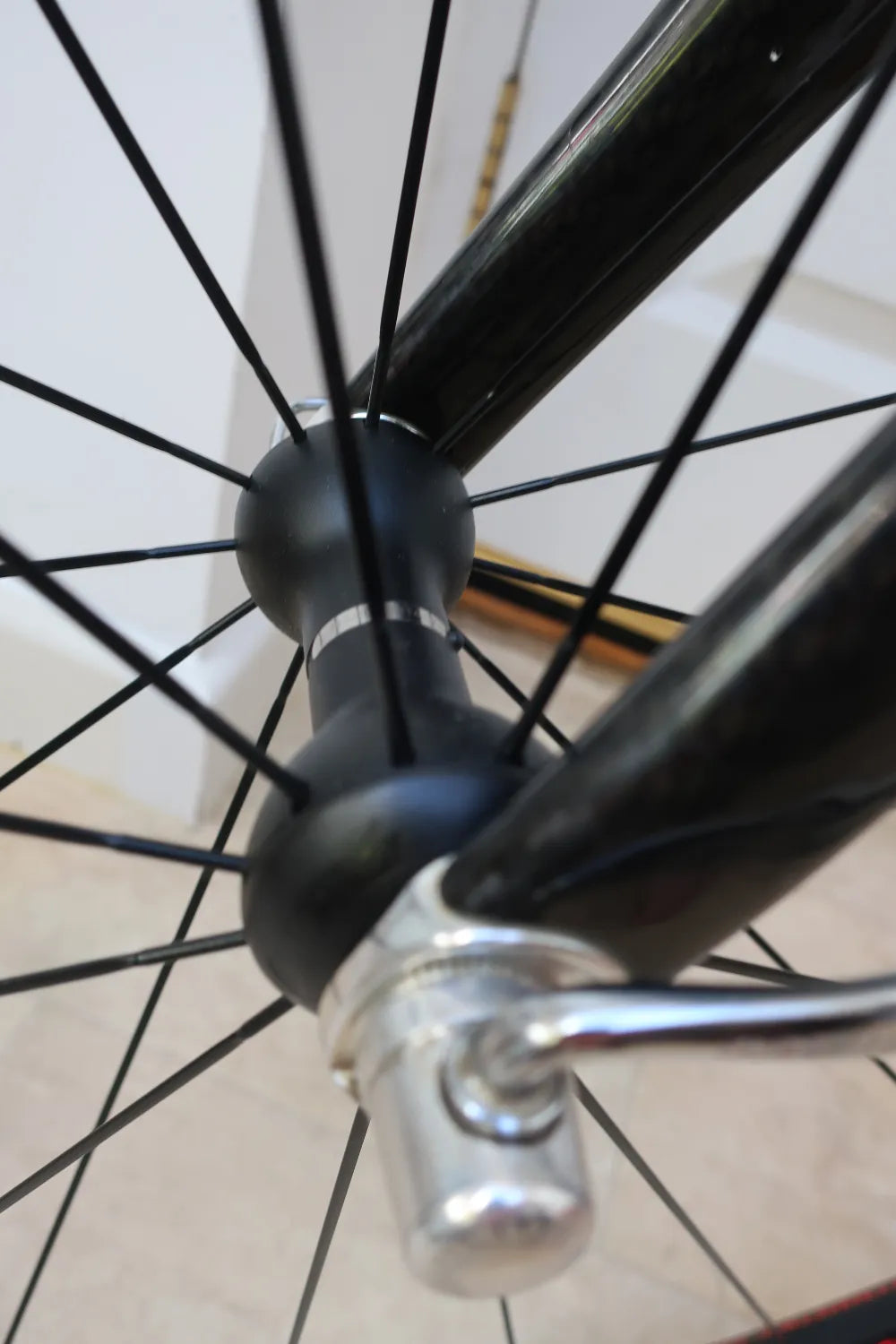 Pegoretti Fina Estampa 2003