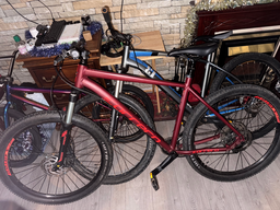 Carrera Fury Mens Mountain Bike 2020