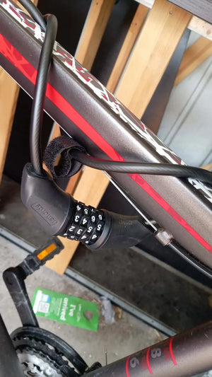 Tiger cycles Hazard 2019