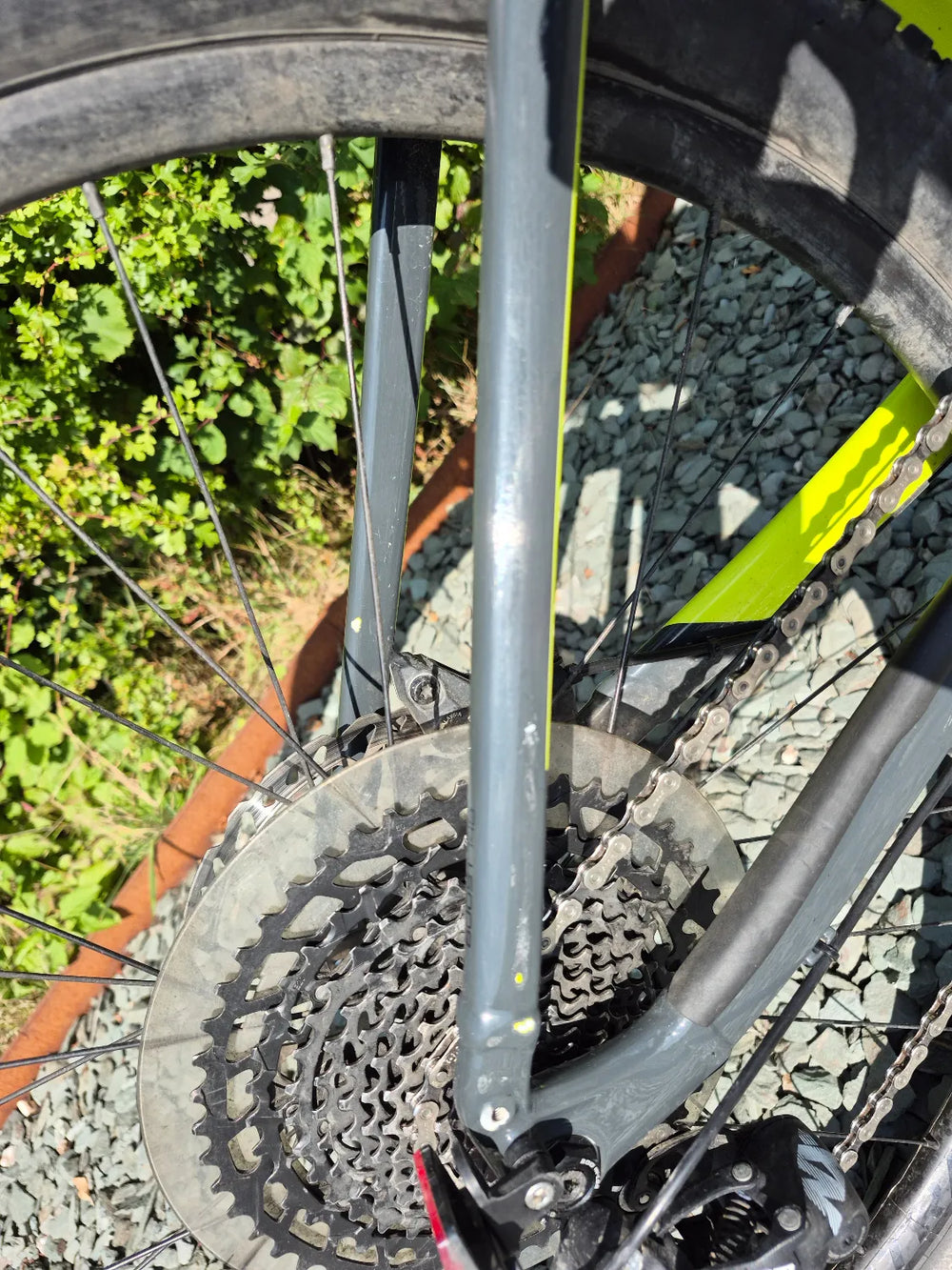 Trek Powerfly 5 2021