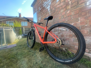 Specialized Rockhopper Sport 29er 2022