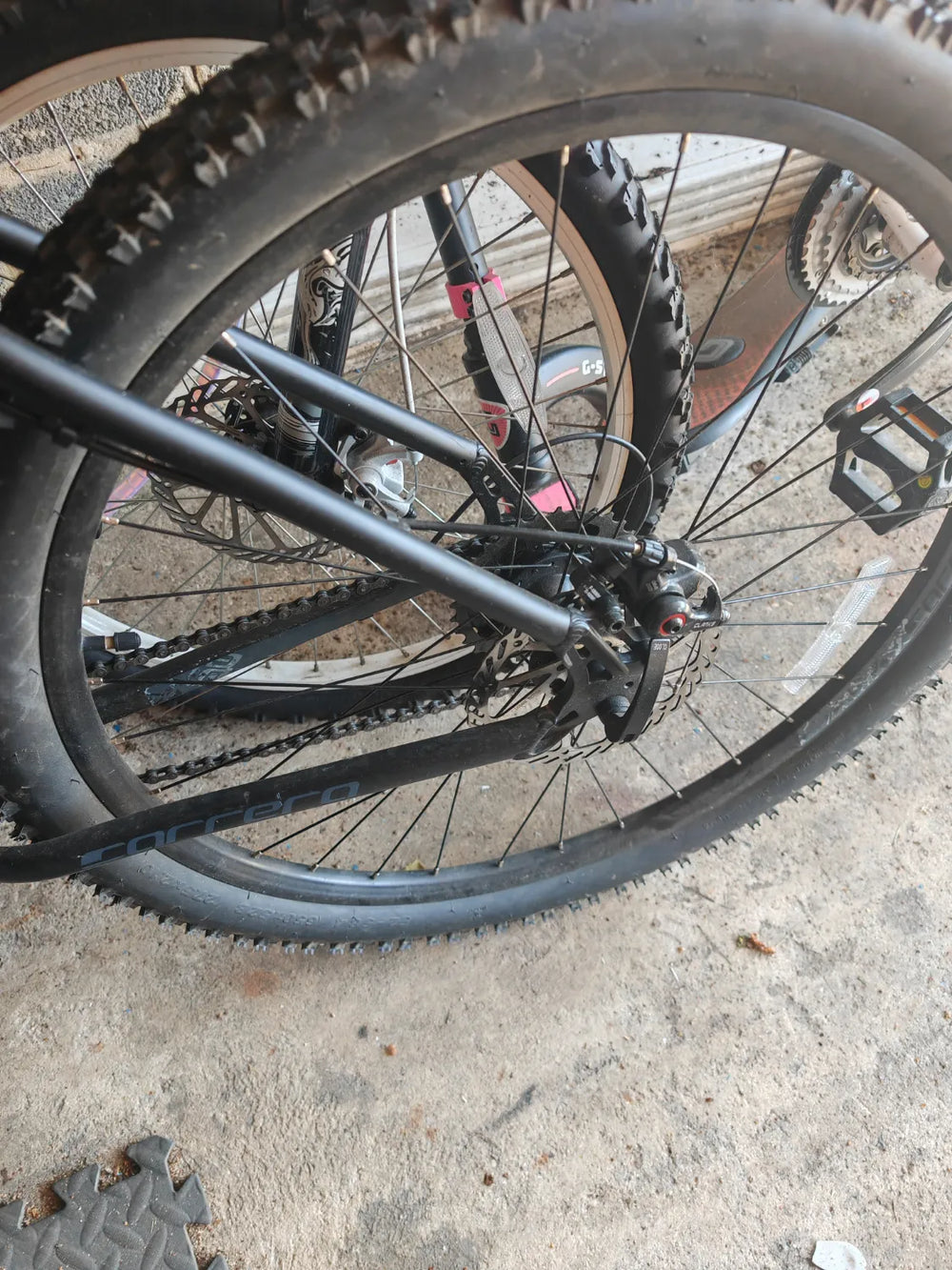 Carrera Vengeance , 2024