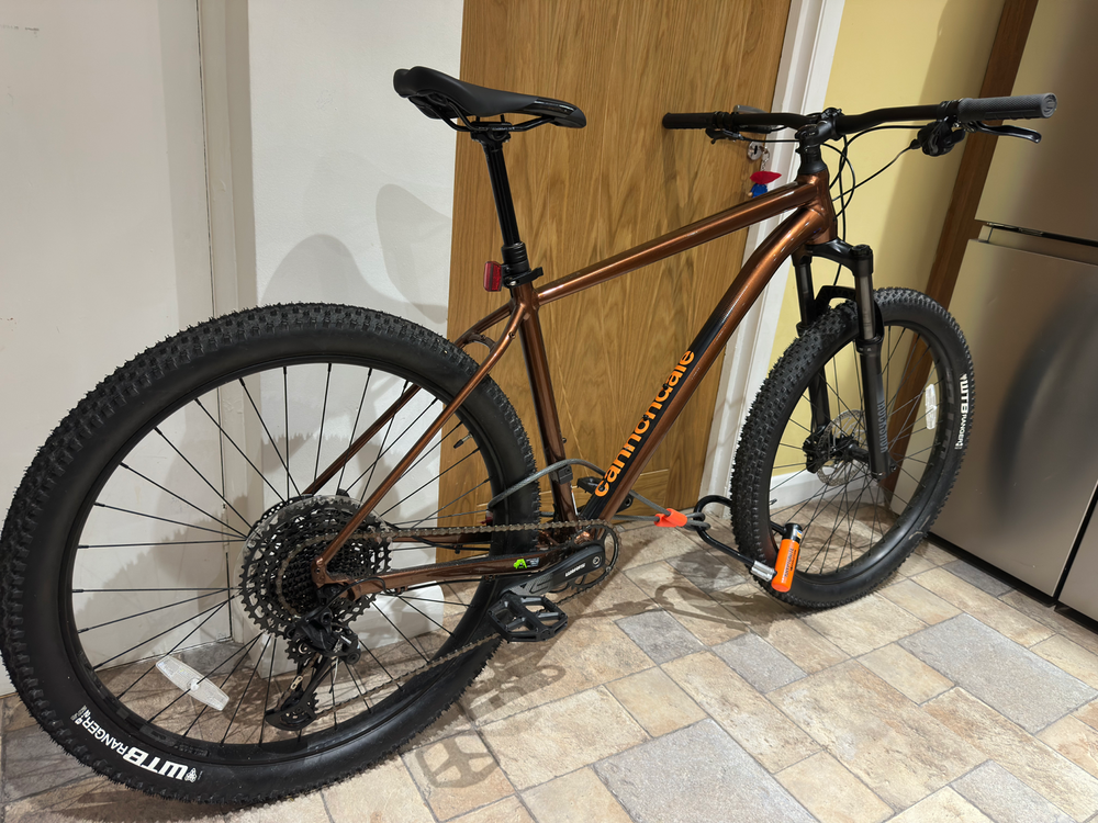 Cannondale Cujo 1 2021