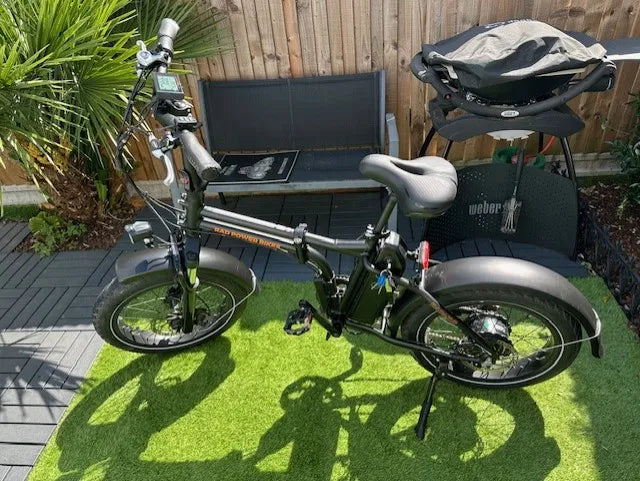 Rad Power Bikes RAD MINI 4 2020