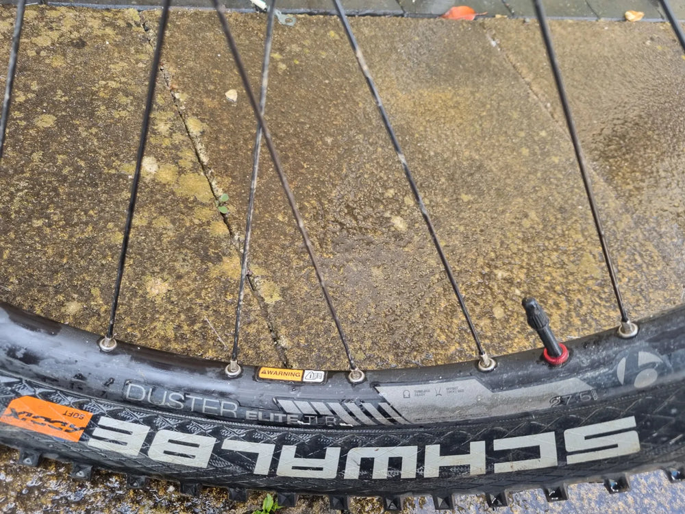 Trek Wsd 8 2016