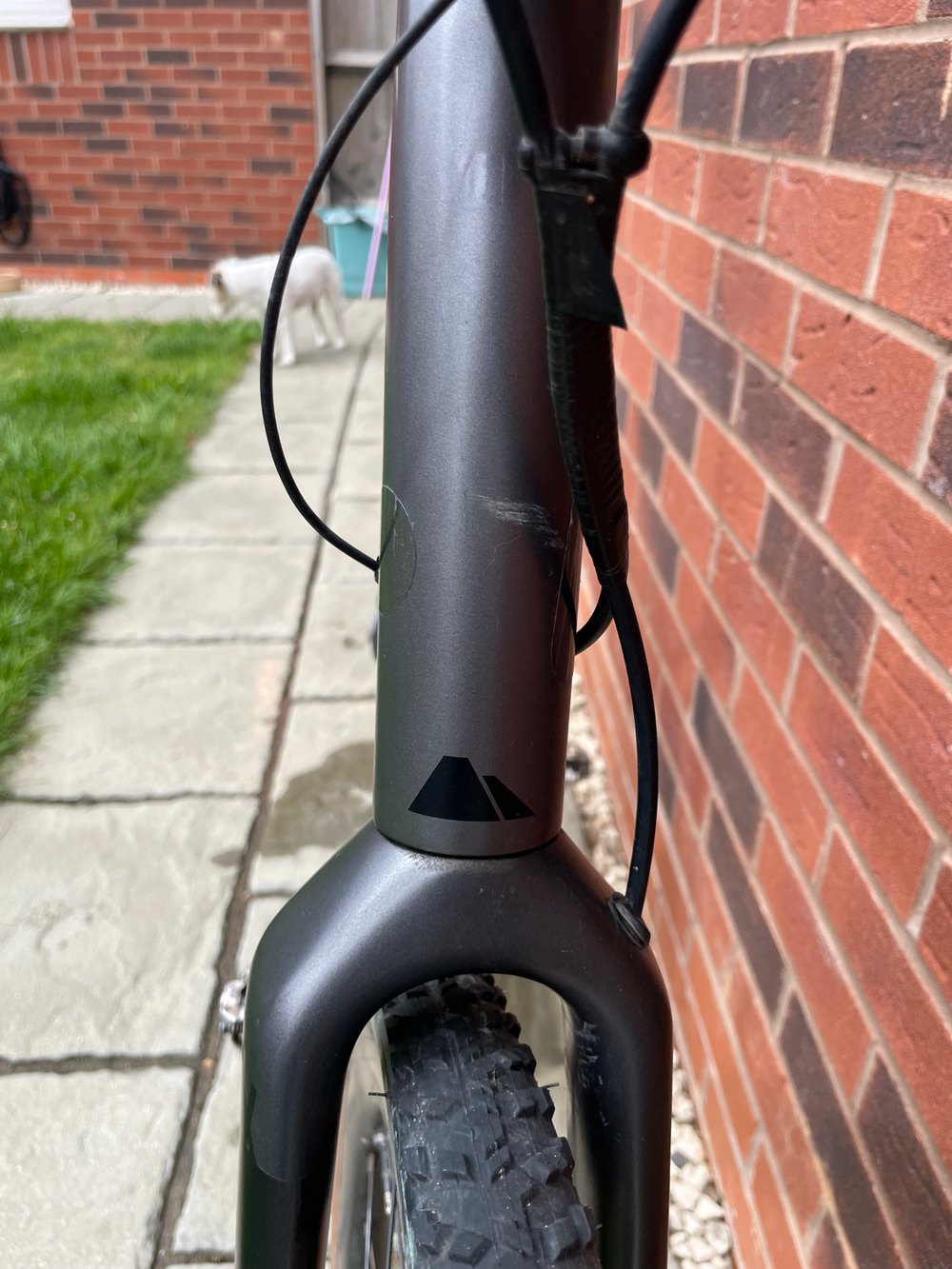 Canyon CF SLX 2019