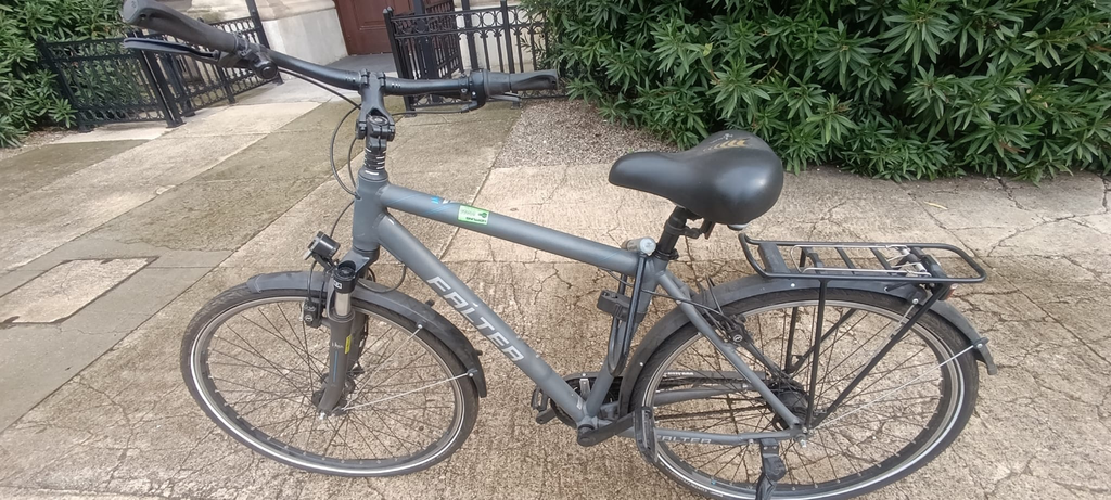 Falter C 4.0 Plus 2020 heavy duty bike'