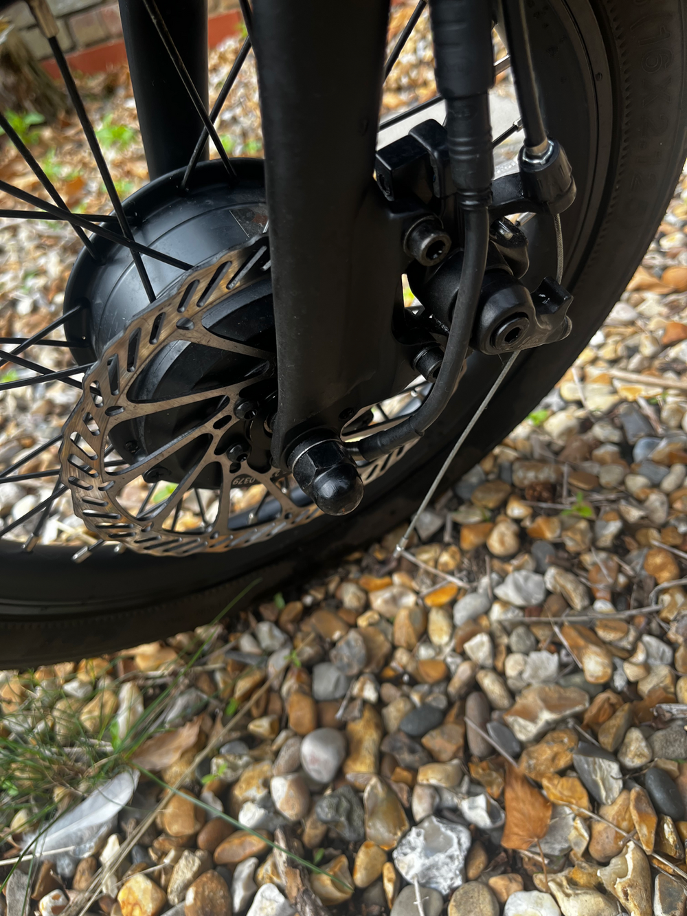 E-Go Lite 2024