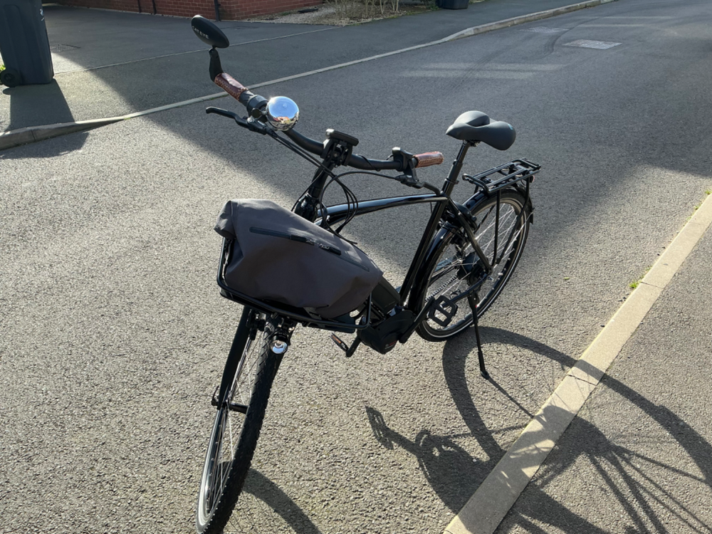 Riese and Muller Roadster Vario 2022