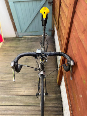 Giant TCR 2 2005