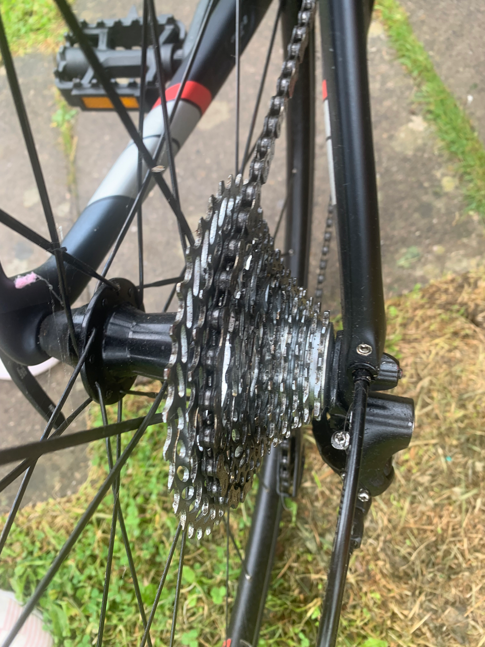 Trek Domane SL 5 Women's 2018
