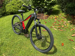 Trek Powerfly 4 625w Gen 4 2024
