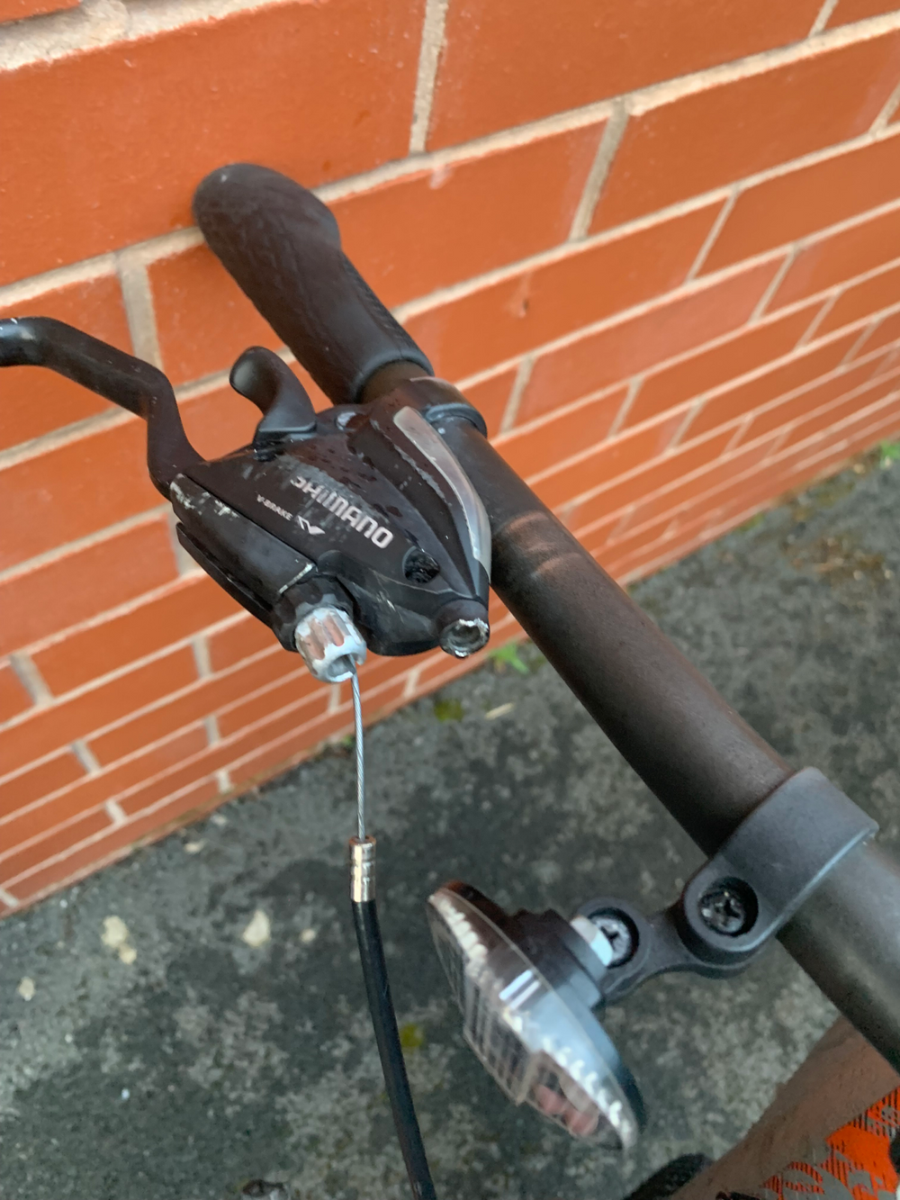 Carrera Parva 2020