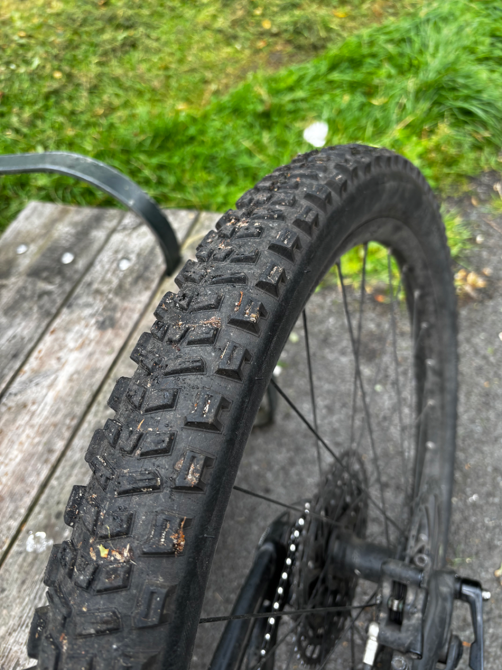 Specialized Stumpjumper Alloy 2022