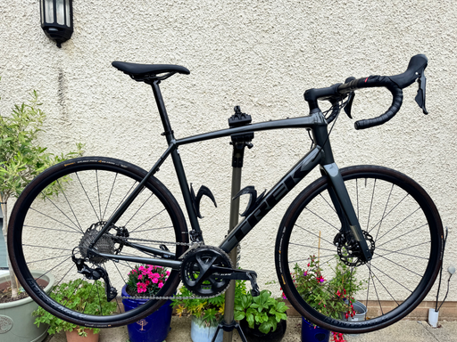 Trek Domane AL 5 Disc 2022