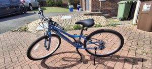 Apollo 24 inch kids bike
