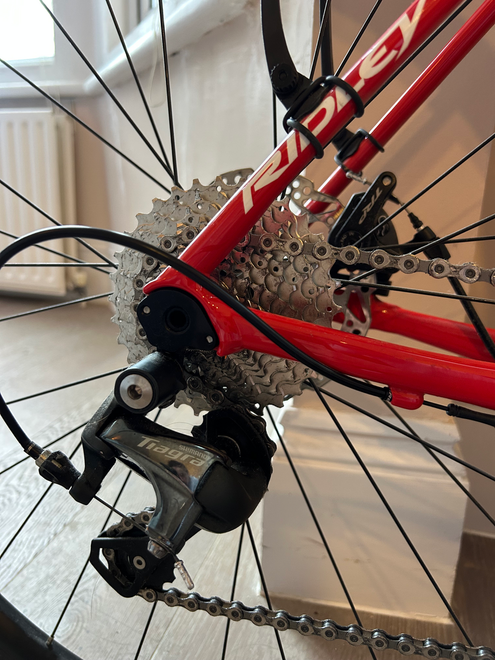 Ridley Fenix SLA Disc - Shimano Tiagra 2x10sp 2023