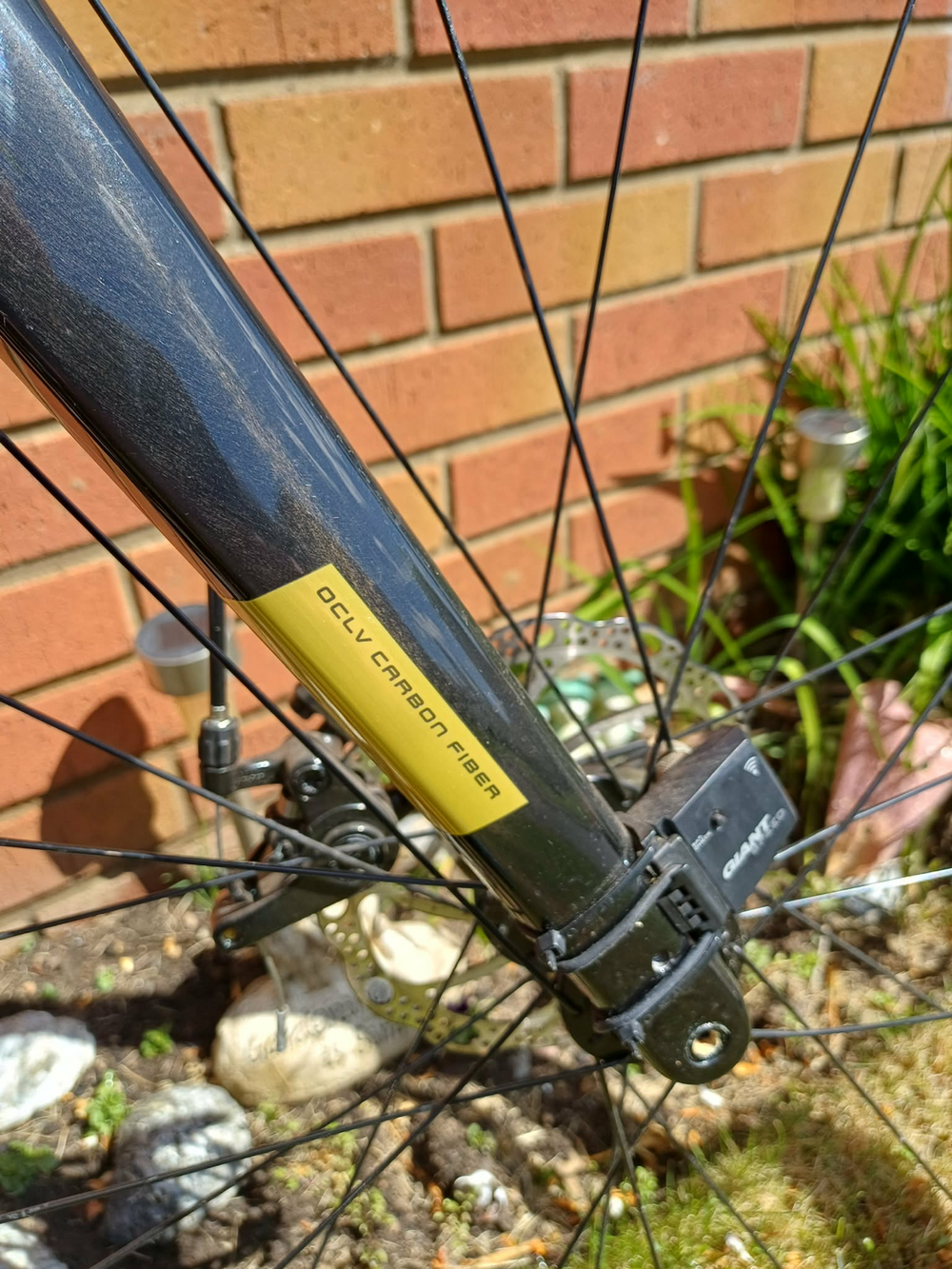 Trek Domane AL 2 2019