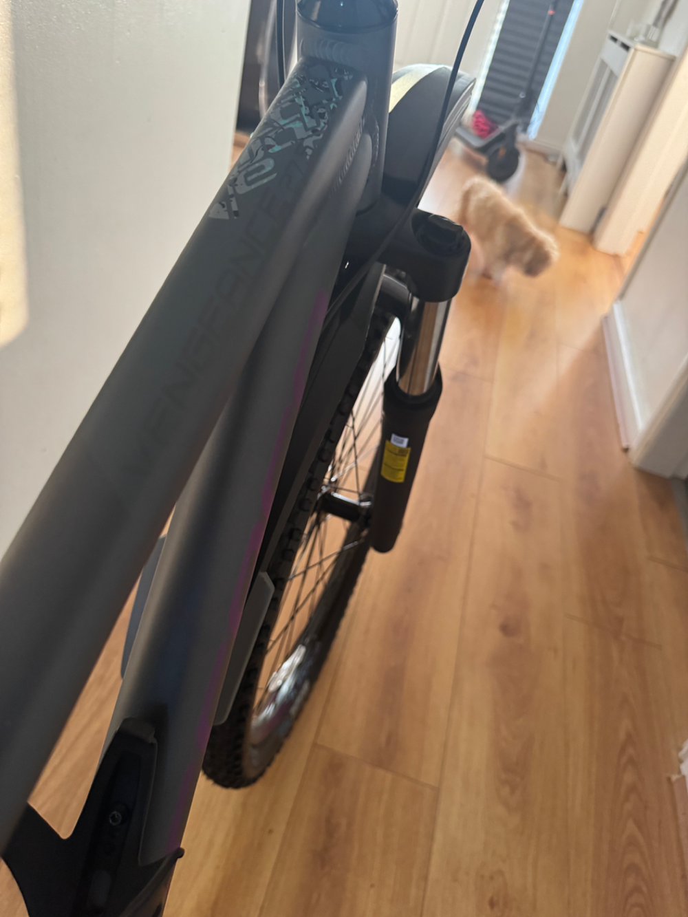 Carrera Vengeance Junior Mountain Bike 2022