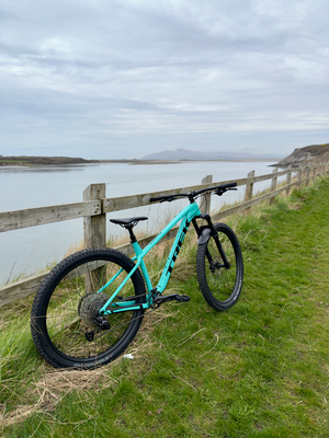 Trek Roscoe 7 2025