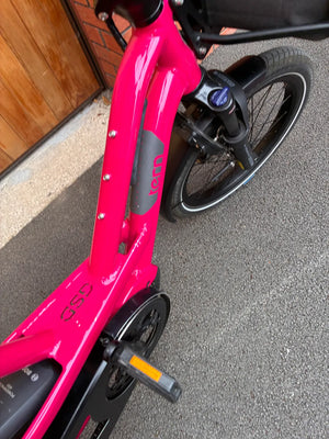 Tern GSD S10 LR 2024