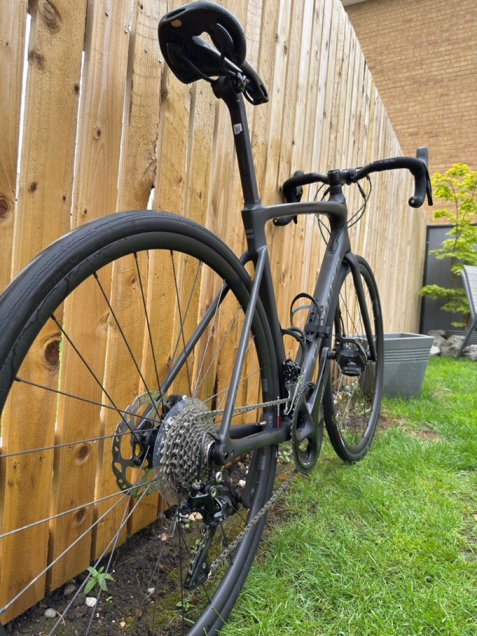 Specialized Roubaix Sport 105 Disc 2020