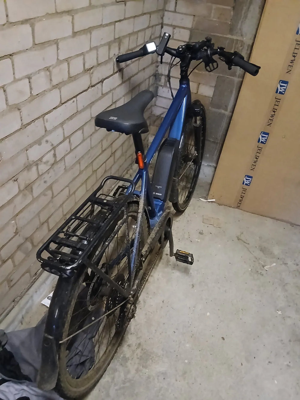 Raleigh Felix 2022