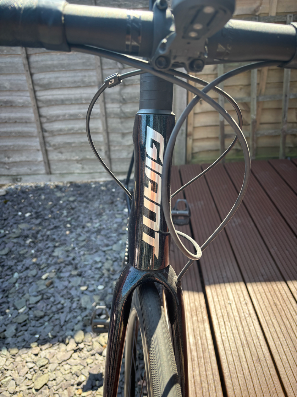 Giant TCR 2 2024