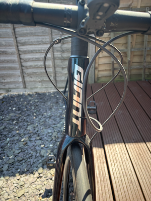 Giant TCR 2 2024