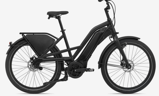 Giant Delivery E+ 2024