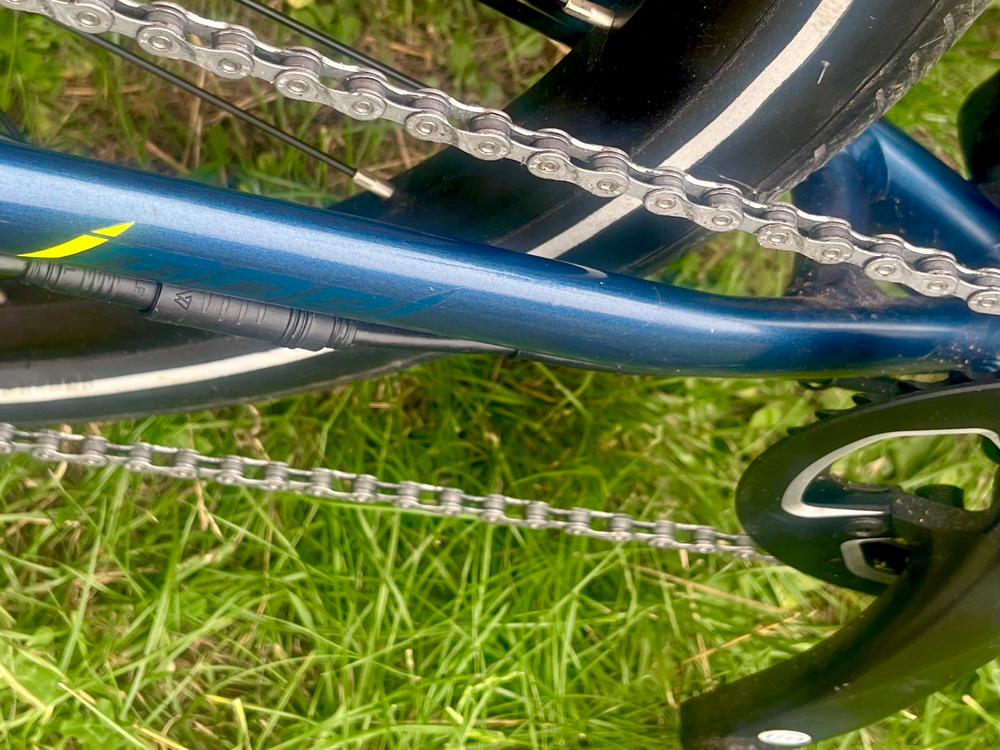 Carrera impel im 2022