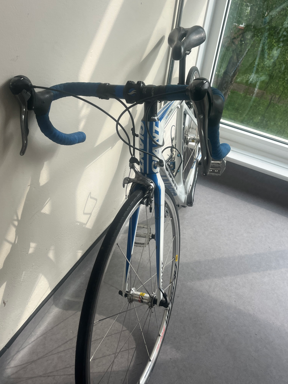 Giant TCR Advanced 2010