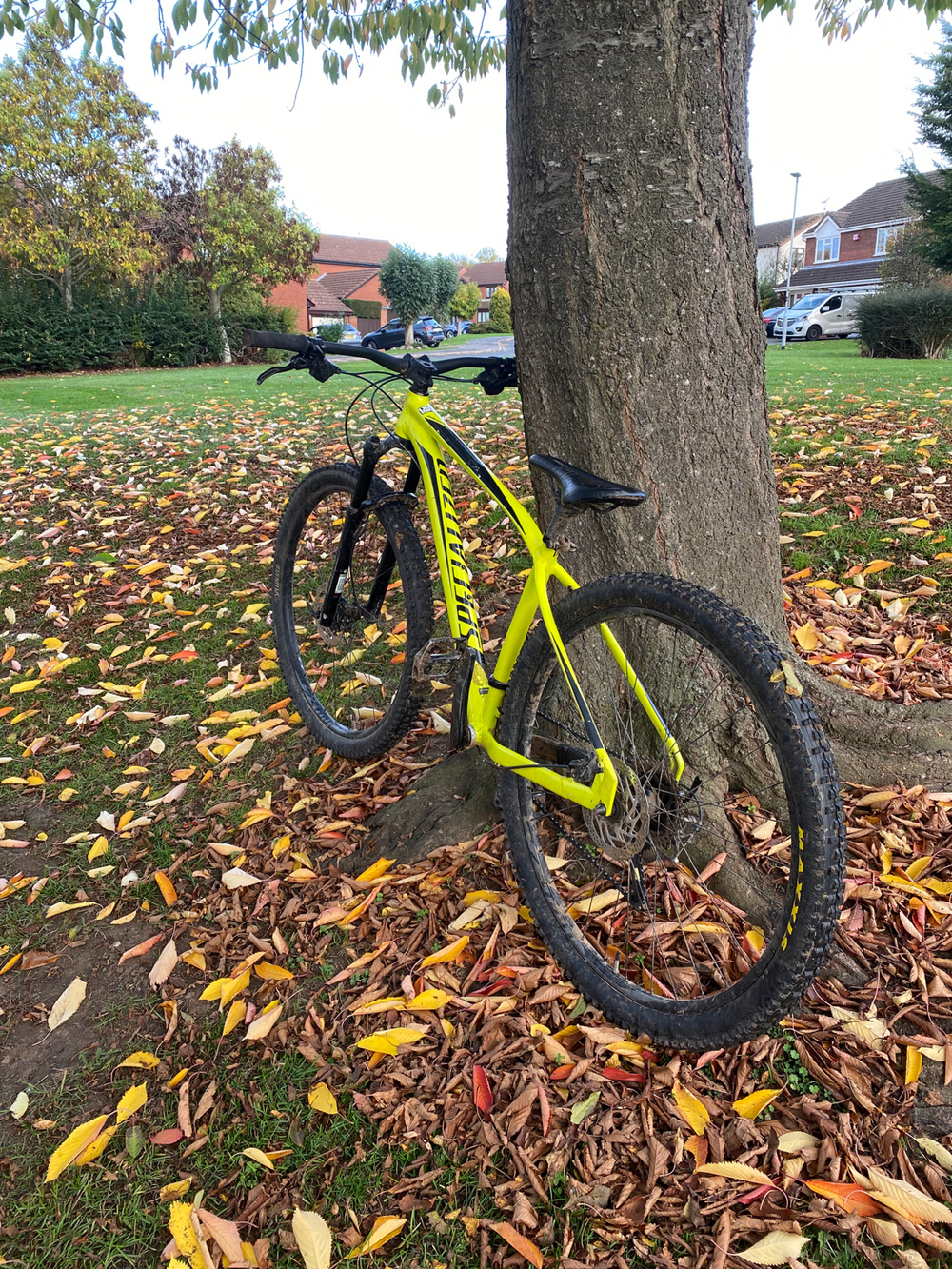 Specialized Rockhopper Comp 29 2015 2016