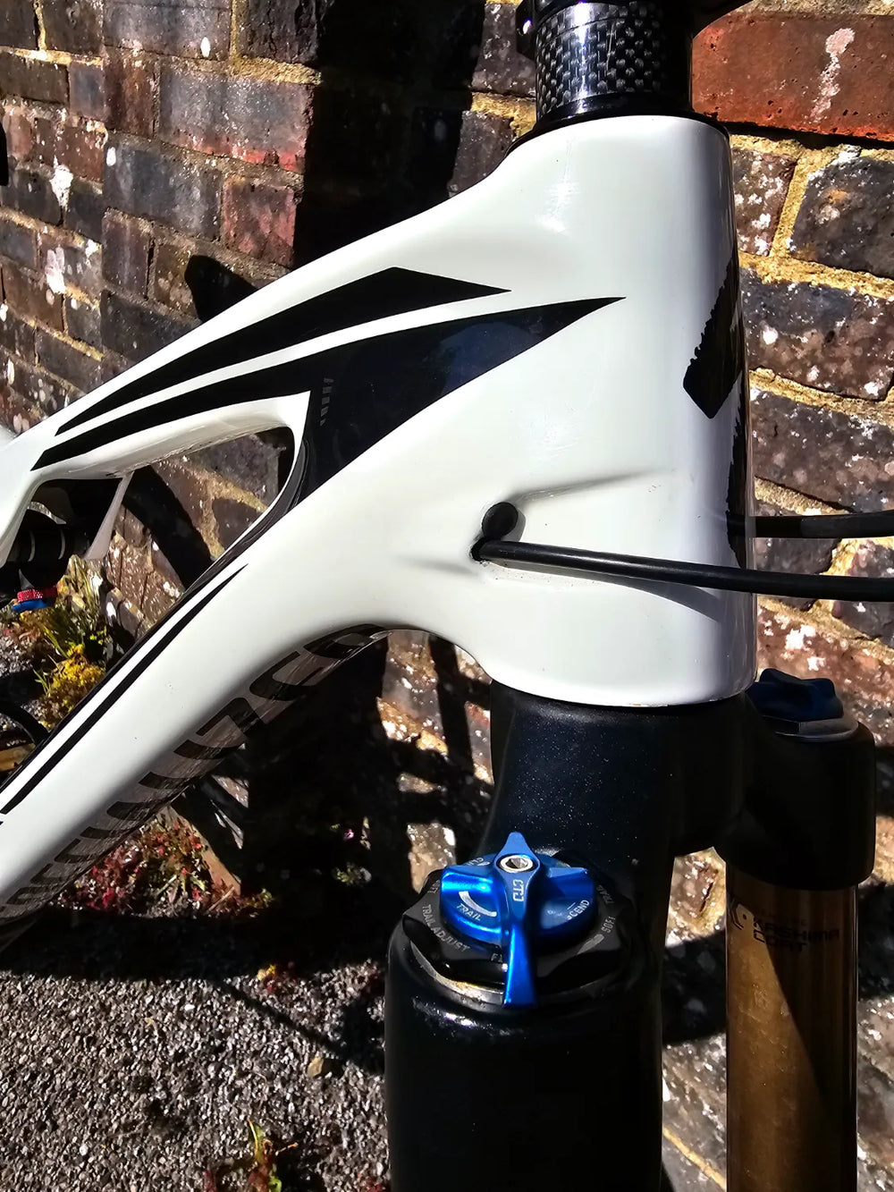 Specialized Rockhopper 27.5 2016