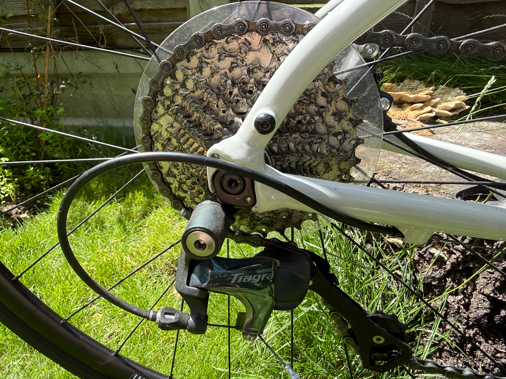 Cannondale Synapse 2 2023