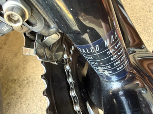 Focus Izalco Max 8.8 2020