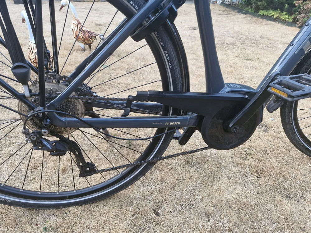 Trek Verve+ 1 300wh 2019