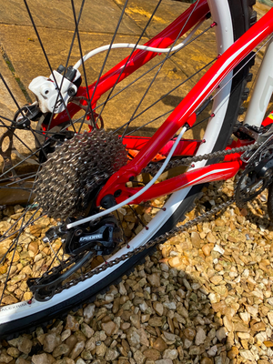 Specialized Rockhopper 26 2010