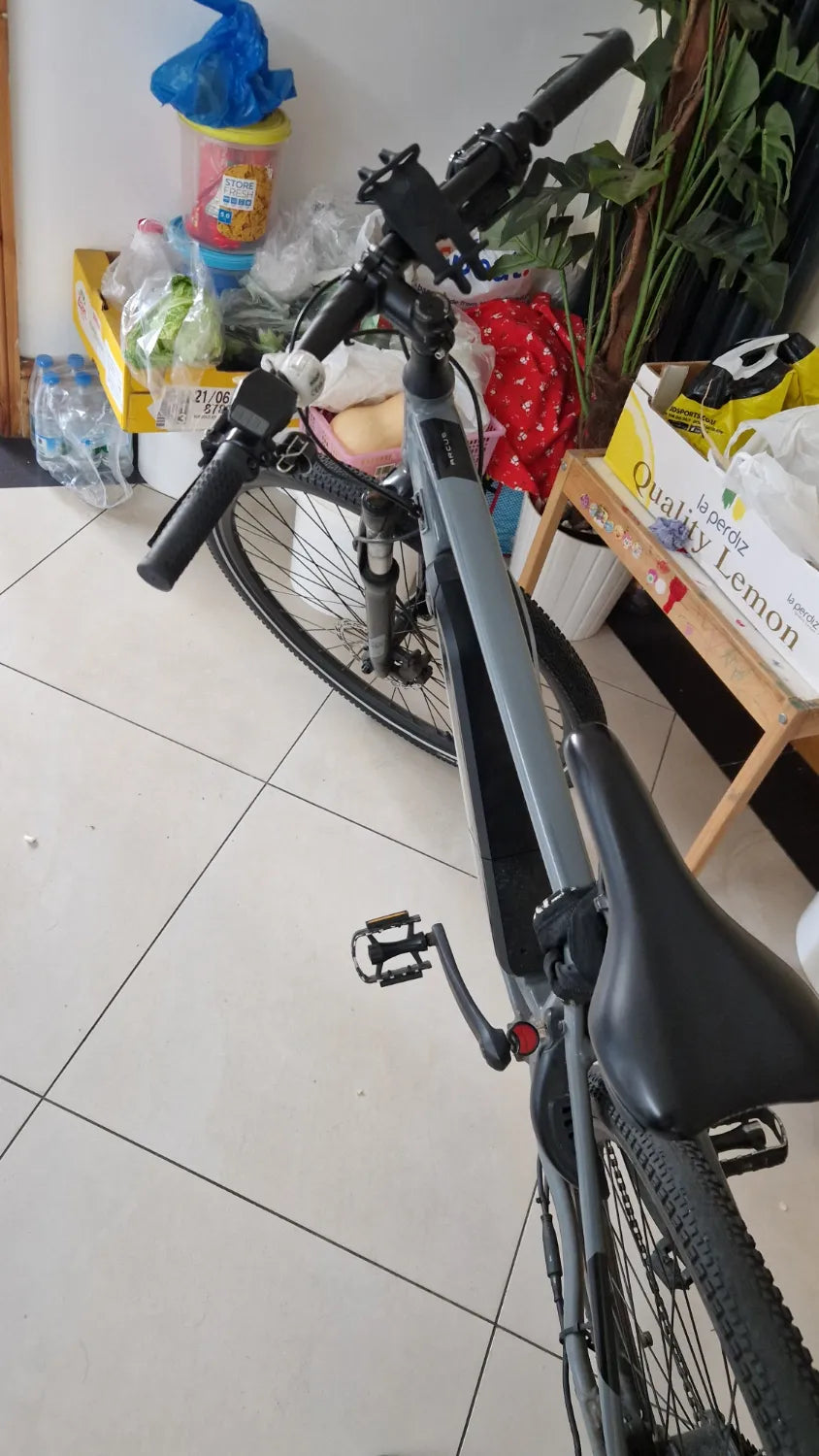 Ridgeback Arcus 1 2024