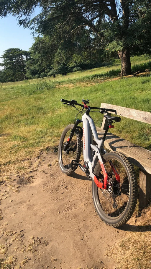Haibike Allmtn 6 2020