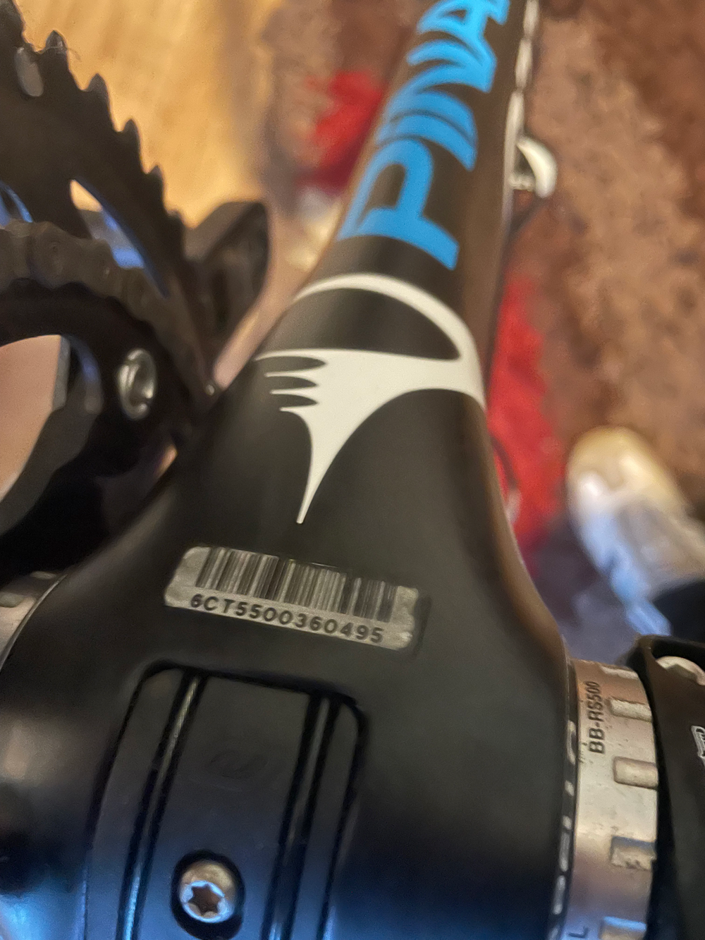 Pinarello GAN 2019