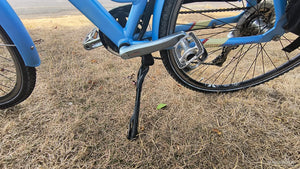 Raleigh Array BS EN 15194