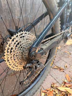 Trek Fuel Ex 8 Gen 6 2023