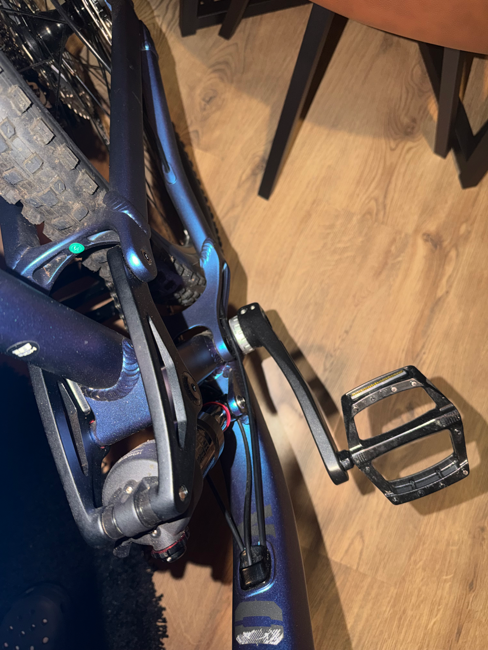 Voodoo Canzo Pro 2025