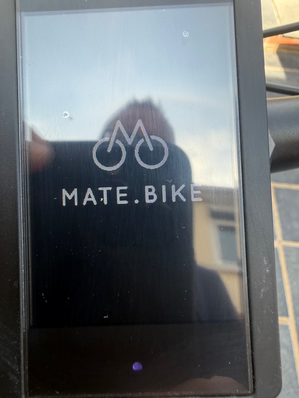 Mate Mate x 250w 2019