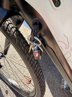 Cairn E-Adventure 1.0 2021