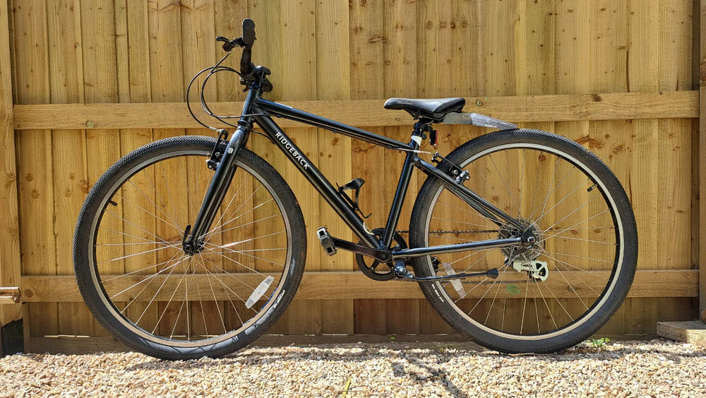 Ridgeback Dimension 26 2022