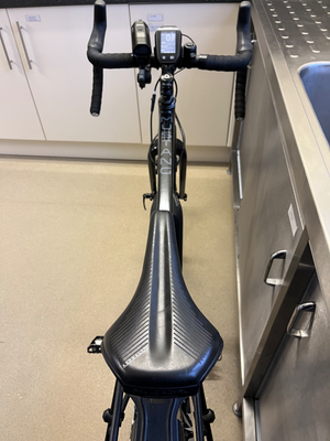 Raleigh Mustang E Comp 2019