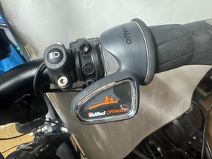 Riese and Muller Homage GT Vario 2019