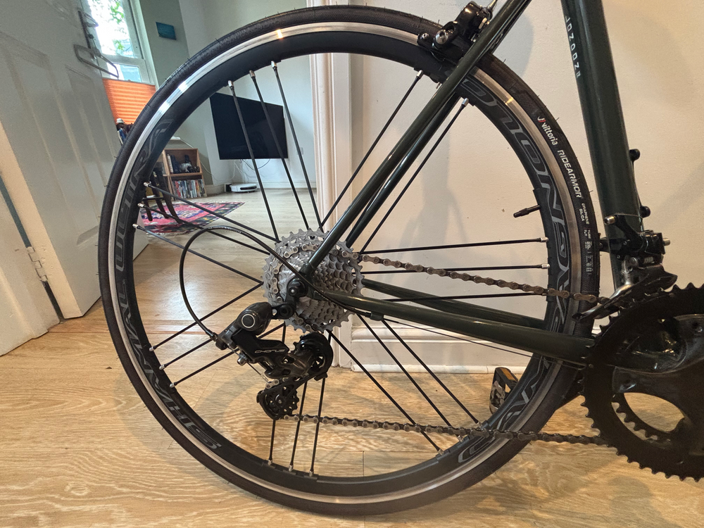 Condor Acciaio Frameset 2024